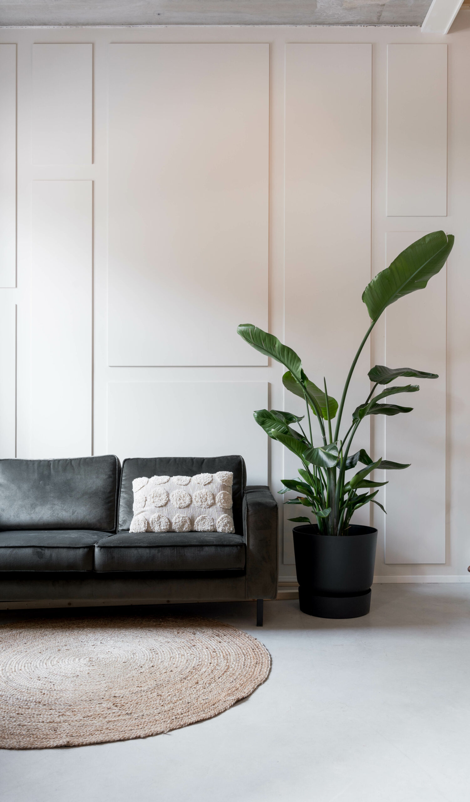 daglichtstudio Amersfoort